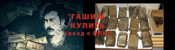 дмт Каменка