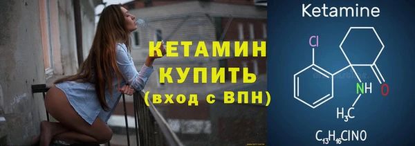 дмт Каменка