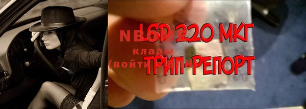 крисы Каменногорск