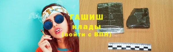 дмт Каменка