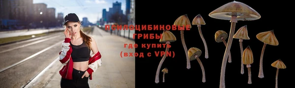крисы Каменногорск