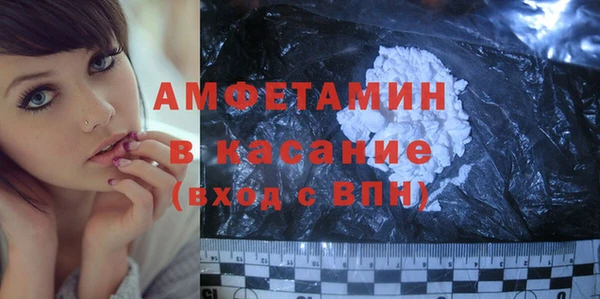 крисы Каменногорск