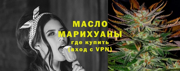 дмт Каменка