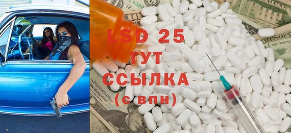 крисы Каменногорск