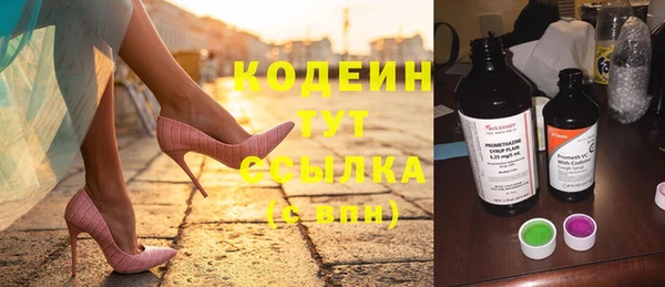 дмт Каменка