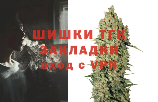 крисы Каменногорск