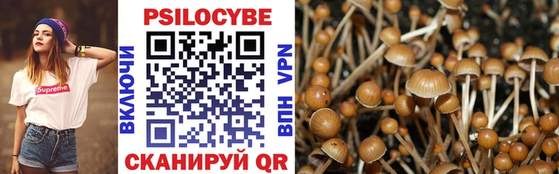Галлюциногенные грибы мухоморы Томск