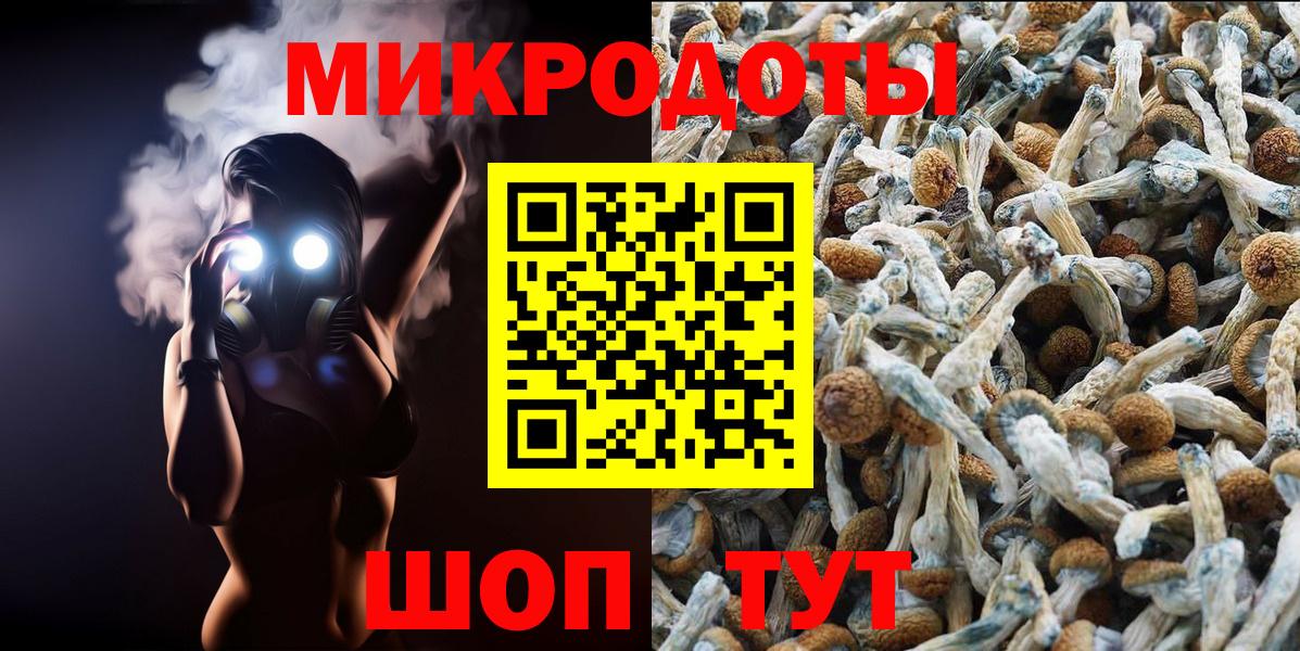 Галлюциногенные грибы MAGIC MUSHROOMS Томск