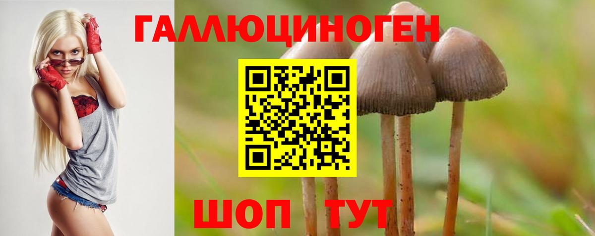 Галлюциногенные грибы Psilocybine cubensis  Вход с VPN  Томск  Галлюциногенные грибы MAGIC MUSHROOMS 